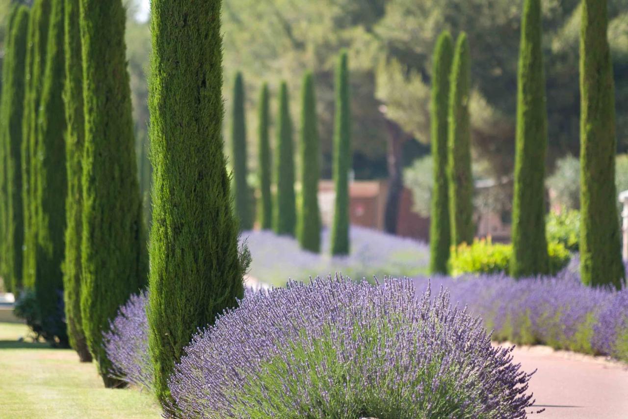 L'Hotel & Spa Du Castellet Le Castellet  Buitenkant foto