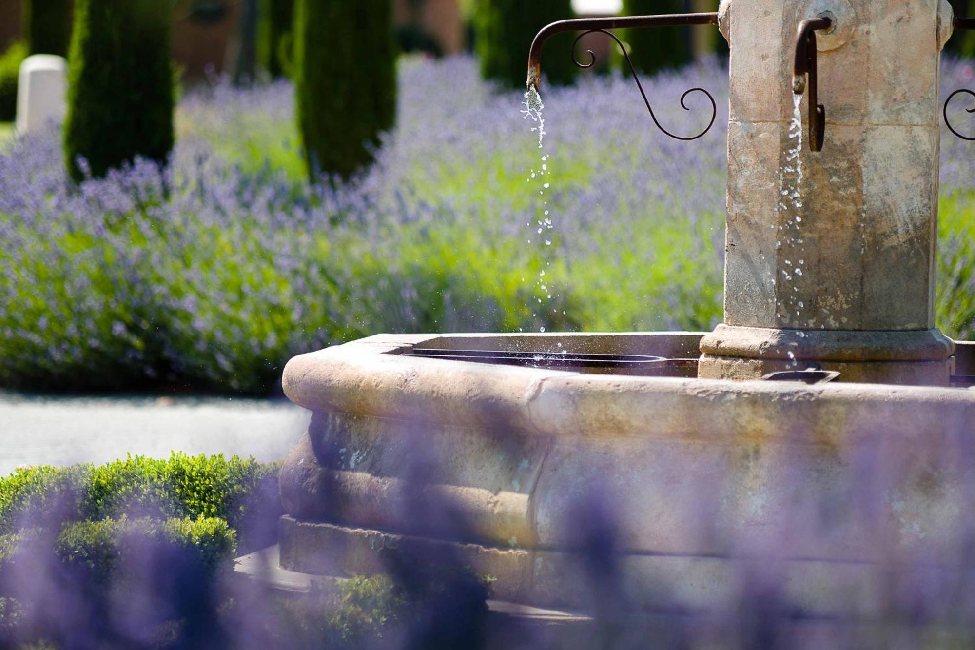 L'Hotel & Spa Du Castellet Le Castellet  Buitenkant foto